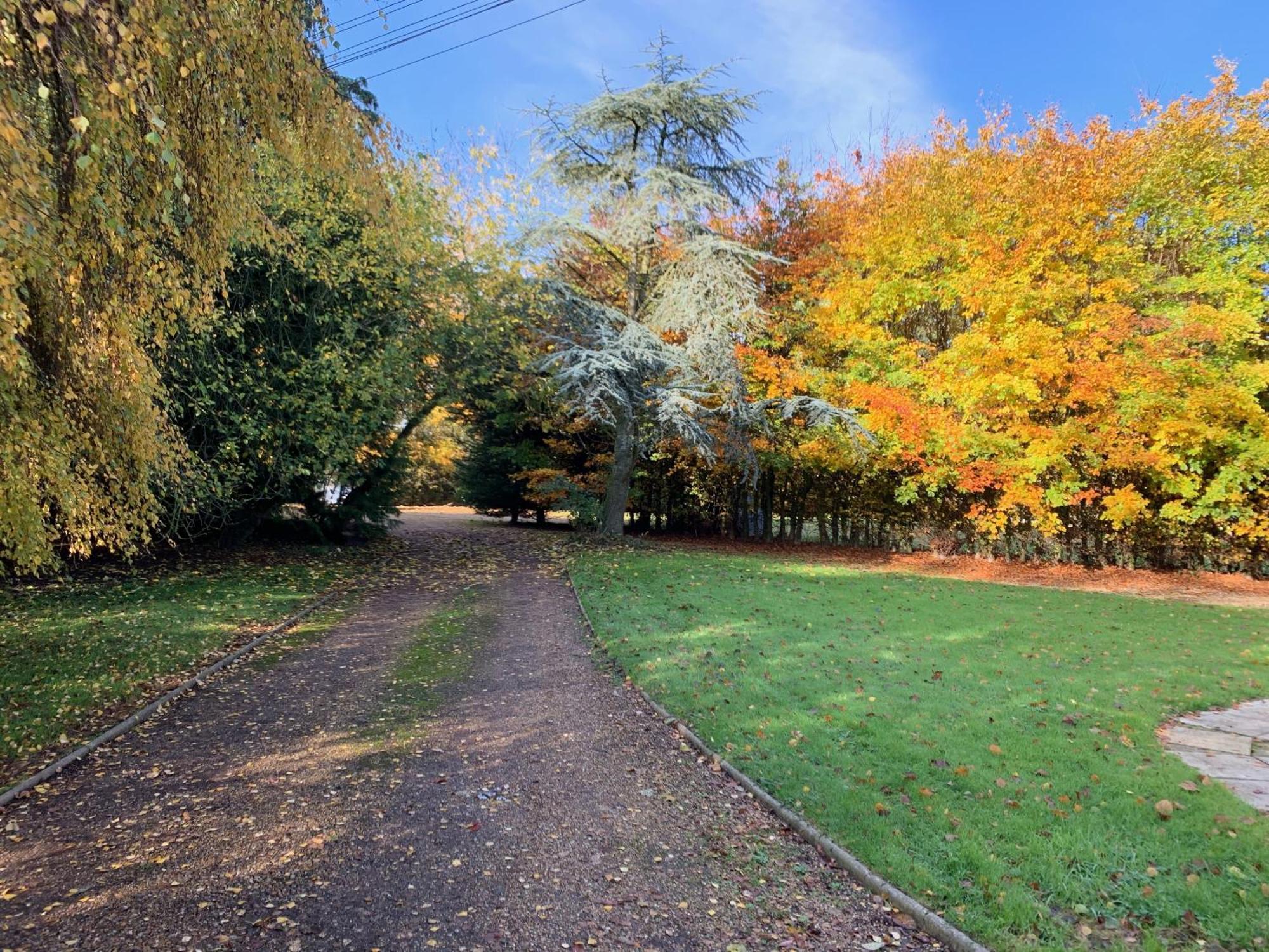 Aldercarr Hall 4*